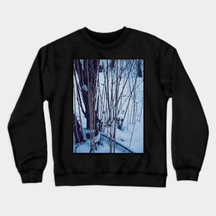 Winter in the forest Crewneck Sweatshirt